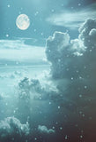 Winter Landscape Sky Background Photography Backdrop IBD-19596