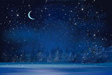 Winter Wonderland Night Background Photography Backdrop for portrait IBD-19598