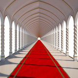 Red Carpet Backdrops Dome Background Pillars Background YY00069-E