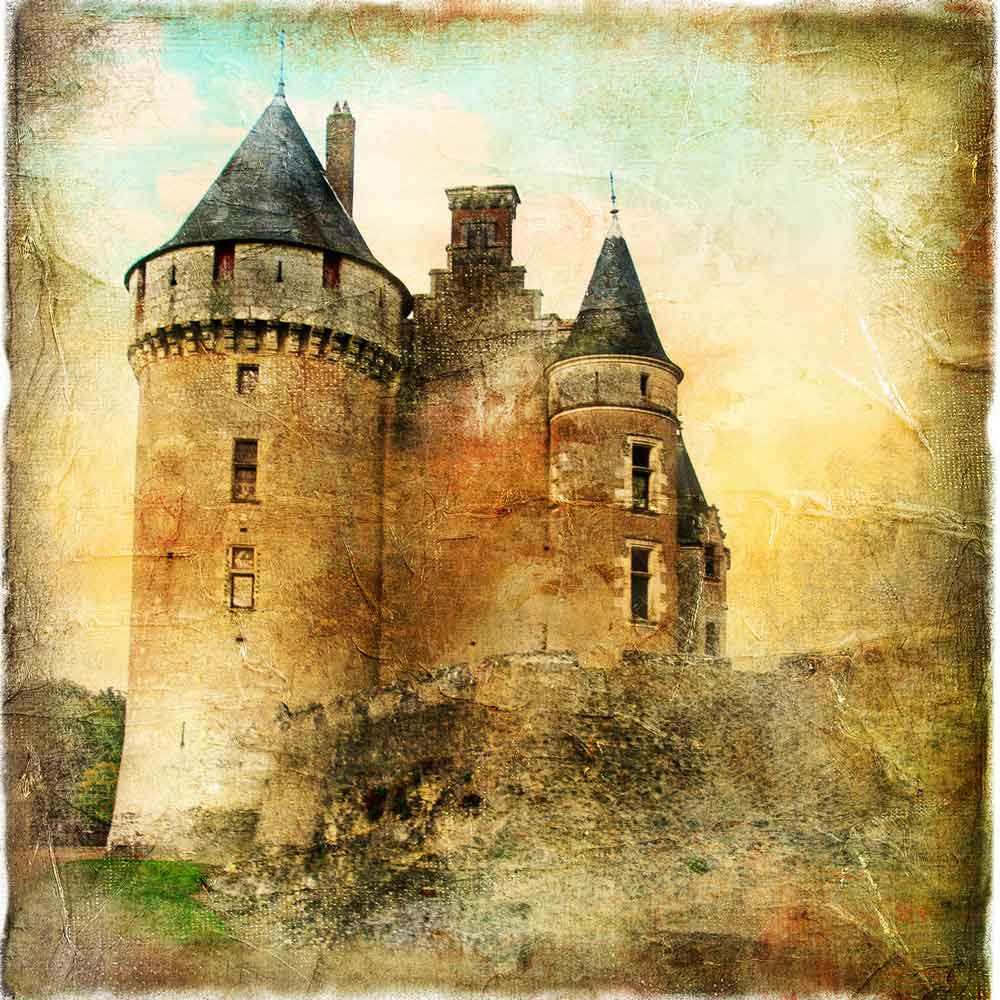 Scenic Backdrops Castle Backdrop Portrait Background YY00413-E