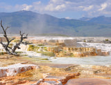 Yellowstone National Park Backdrop For Photography IBD-24587