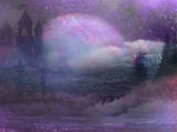 an Abstract View of the Moon in an Ancient Castle Backdrops Purple Photography Background IBD-19835