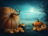 Blue Sky Background Gigantic Pumpkins Halloween Backdrops IBD-H19120