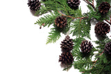 Cedar And Pinecones Botanical Photography Background IBD-24298