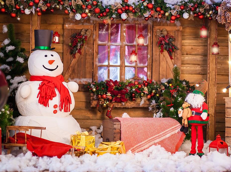 Christmas Decorations Background Christmas Backdrops Portrait Backdrops IBD-H19176