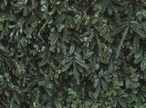 Christmas Green Grand Fir Wood Wall Photography Backdrop IBD-24194