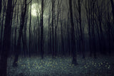 Halloween Backdrops Festival Backdrops Dull White Moonlight Dark Forest Background IBD-H19022