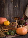 Harvest Season Abundant Vegetables Halloween Backdrops IBD-P19124