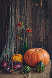 Harvest Season Big Pumpkins and Fruit Halloween Backdrops IBD-P19127