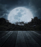 Festival Backdrops Halloween Backdrops Incomplete Moonlight Dark Wood Backdrops IBD-19027