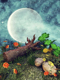 Moonlight Backdrop Cartoon Wood And Grass Halloween Backdrops IBD-P19107