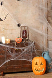 Old House with Spider Silk and Few Pumpkins Halloween Backdrops IBD-P19145