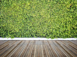 Green Plant Wall And Wood Floor Photo Background Backdrop for Photography IBD-24128