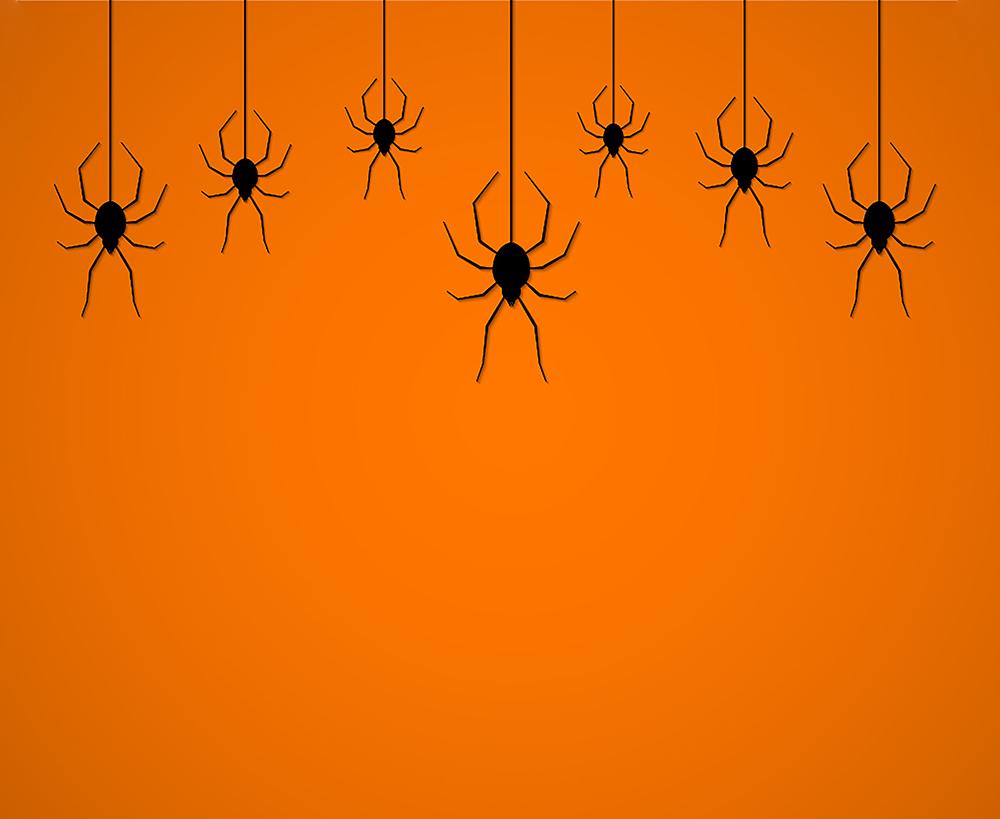 Orange Background Hang Spiders Backdrops Halloween Background IBD ...