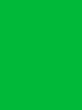 Photography Green Screen Backdrops Background IBD-24254
