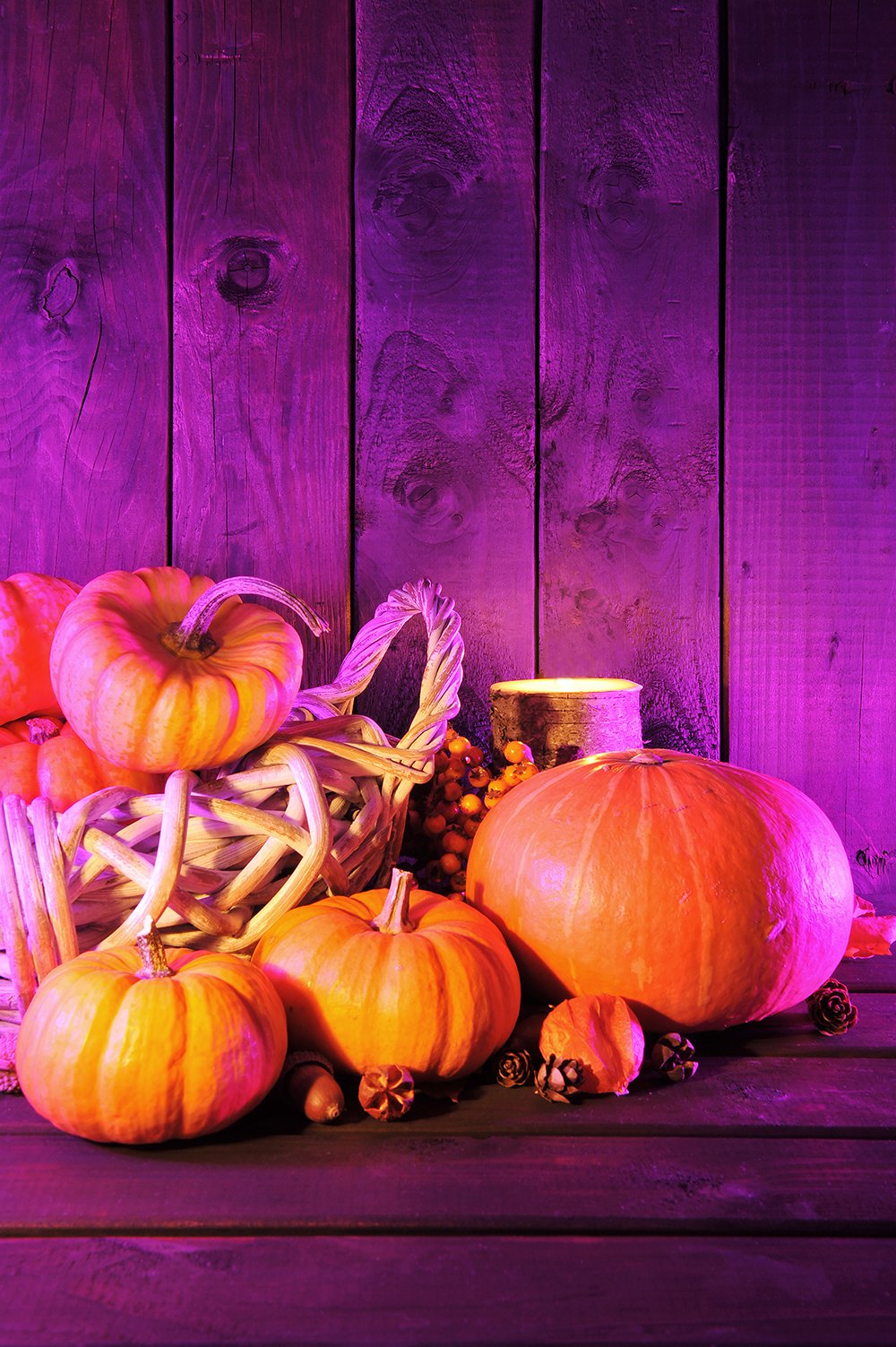 Purple Background a Stack of Pumpkins Halloween Festival Backdrkops IBD-P19118