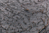 Purple Brick Wall Covered Invines Texture Backdrop IBD-24283