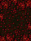 High Quality Cotton Cloth Red Lights Christmas Professional Photo Background Christmas Backdrops Cloth ST-003 - iBACKDROP-chri, chris, christ, christm, Christmas Backdrop, Christmas Backdrops, Christmas Tree Backdrop, For Photography Diy Christmas Backdrop, New Arrivals, Red Backdrop