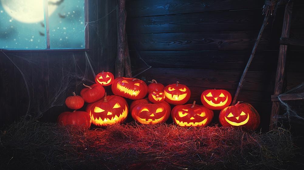 Stack Background Shiny Pumpkin Lanterns Festival Backdrops Halloween Theme IBD-H19105