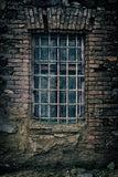 Vintage Brick Wall And Wood Window Backdrop IBD-24289