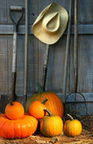 Festival Backdrops Halloween Backdrops Warehouse And Farm Pumpkin-background IBD-P19046