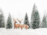Winder Snowing Wild Beers Forest Christmas Photography Backdrops IBD-24211