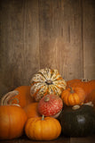 Wood Backdrop a Stack of Pumpkins Halloween Backdrops IBD-P19128