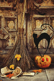 Festival Backdrops Halloween Wood Backdrop Wizard Broom Background IBD-P19075 - iBACKDROP